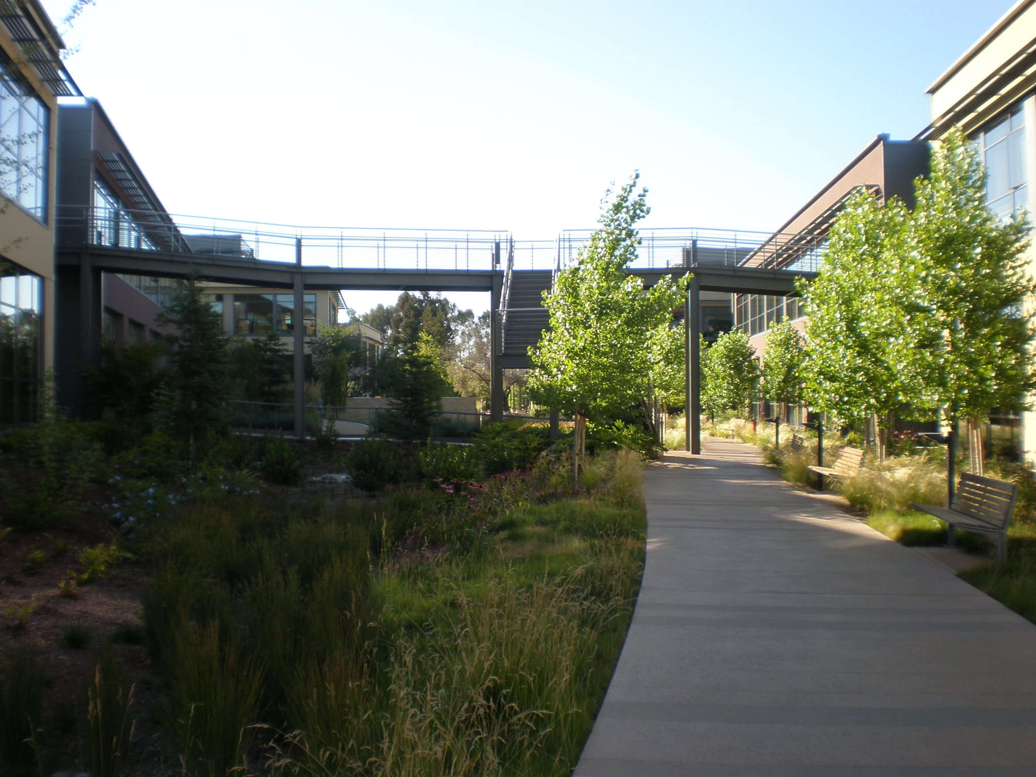 Palo Alto campus is an inviting 29-acre suburban site that features scenic tree-lined paths and modern, open buildings