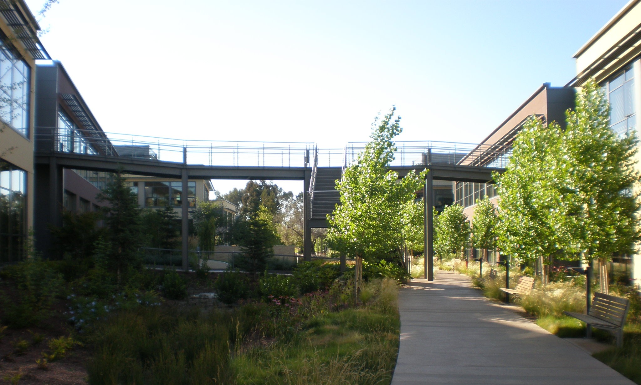 Palo Alto campus is an inviting 29-acre suburban site that features scenic tree-lined paths and modern, open buildings